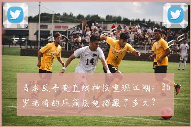马龙反手变直线神技重现江湖，36岁老将的压箱底绝招藏了多久？